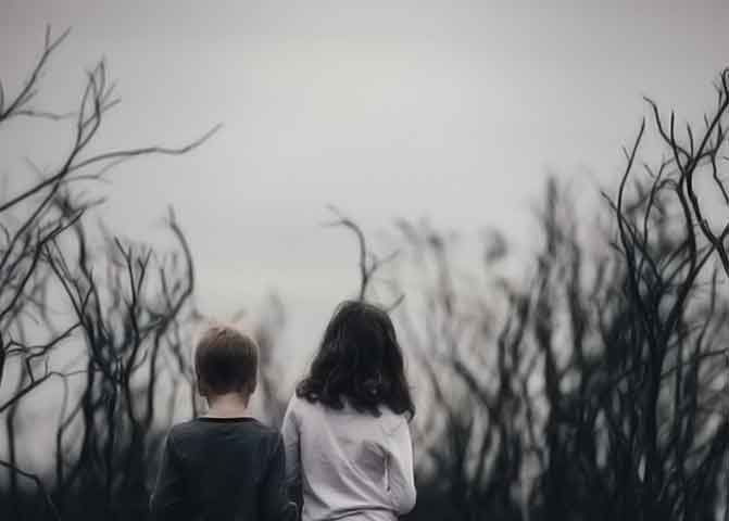 激活码代理的器测压文章